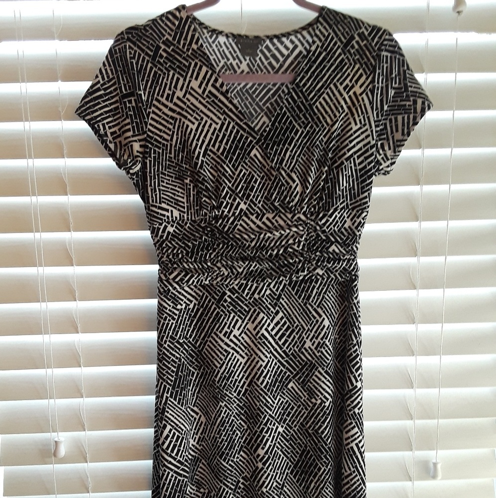 Ann Taylor Bamboo Print dress